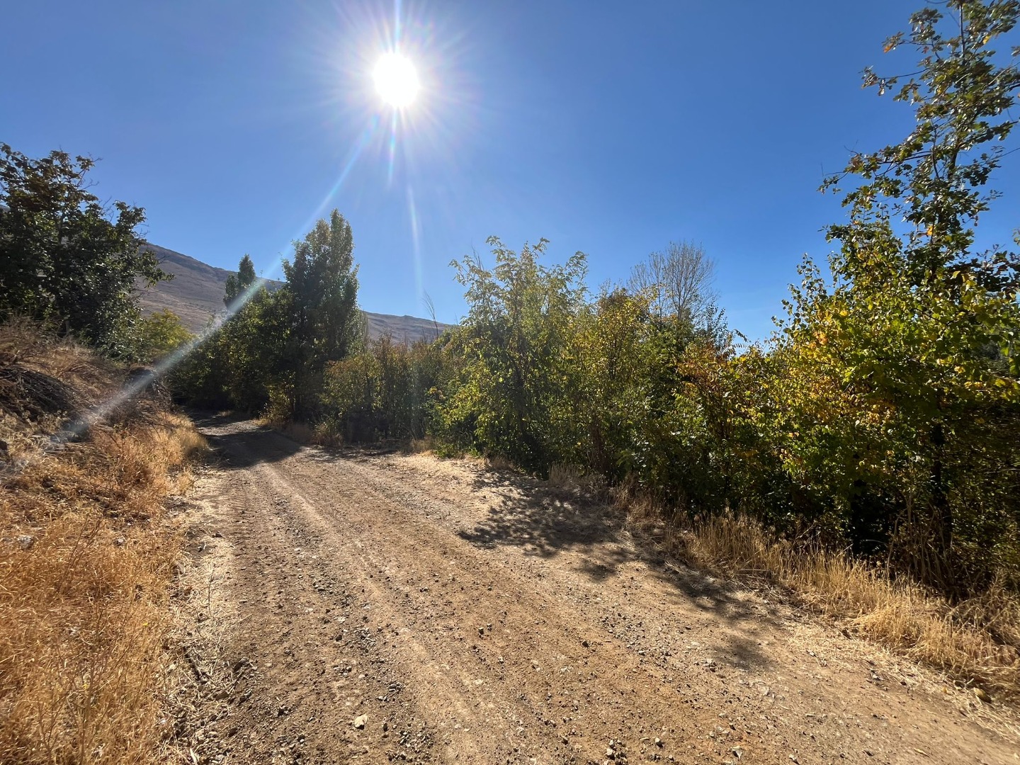 KAYSERİ DEVELİ ZİLE MAHALLESİ MAŞATLIK MEVKİİNDE SATILIK ARAZİ